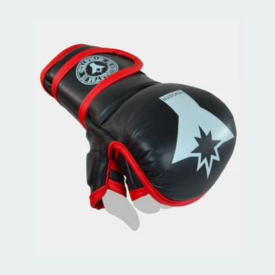 Youngstar Youth MMA Training Gloves